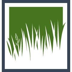 Lawn Sodding Pros