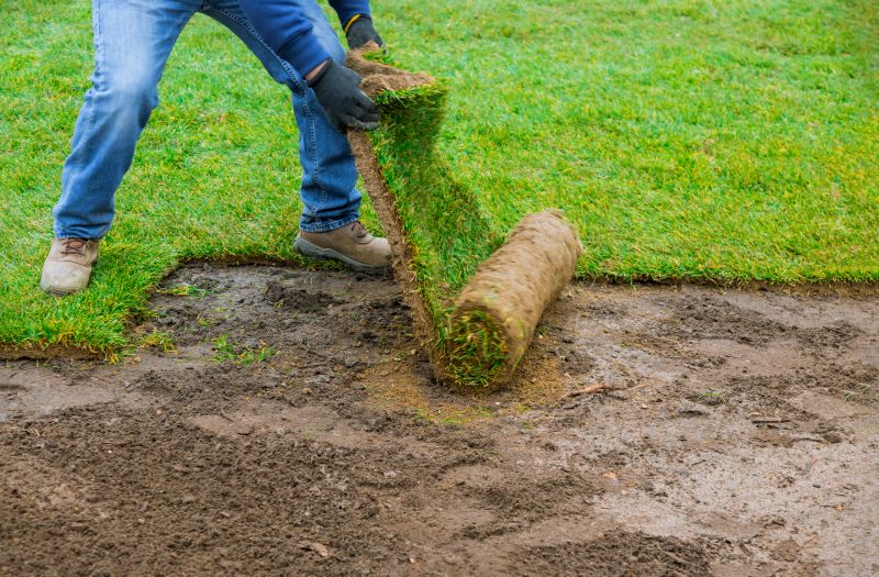 Lawn Sodding