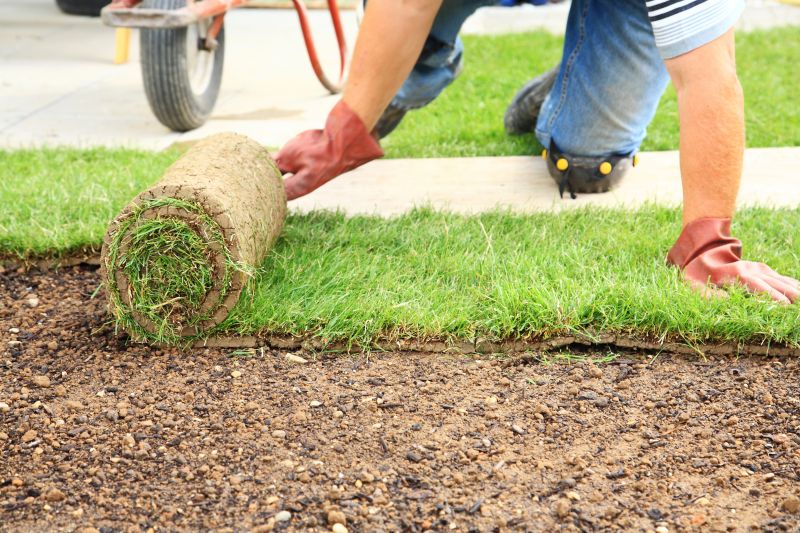 Lawn Sodding