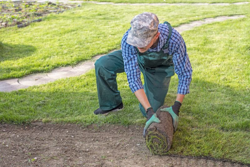 Products For Lawn Soddings in use