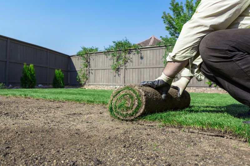 Lawn Edging and Finishing Touches