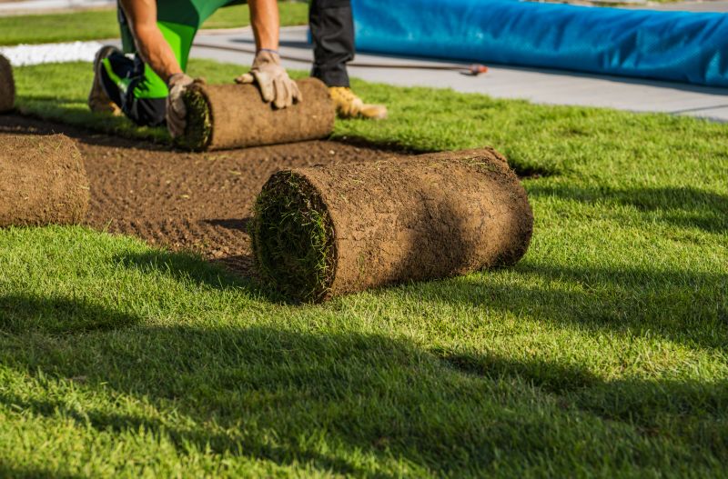 Sod Installation Team at Work