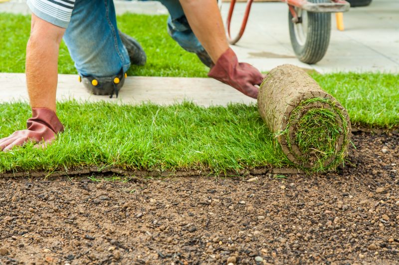 Sod Installation in Rockwall, TX